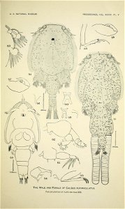 n432_w1150