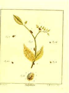n580_w1150