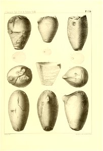 n224_w1150