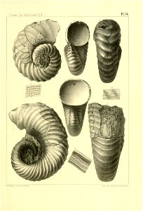 n104_w1150