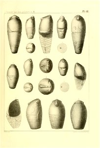 n280_w1150