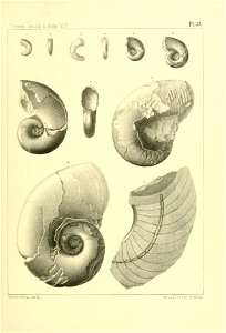 n160_w1150