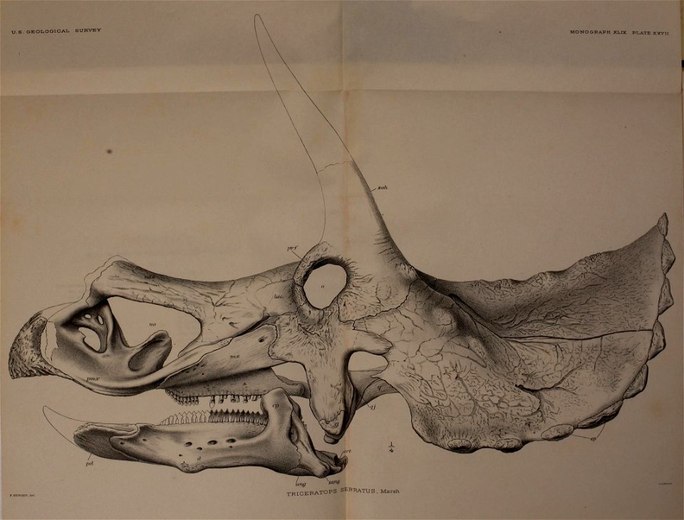 n362_w1150