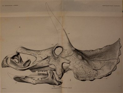 n362_w1150