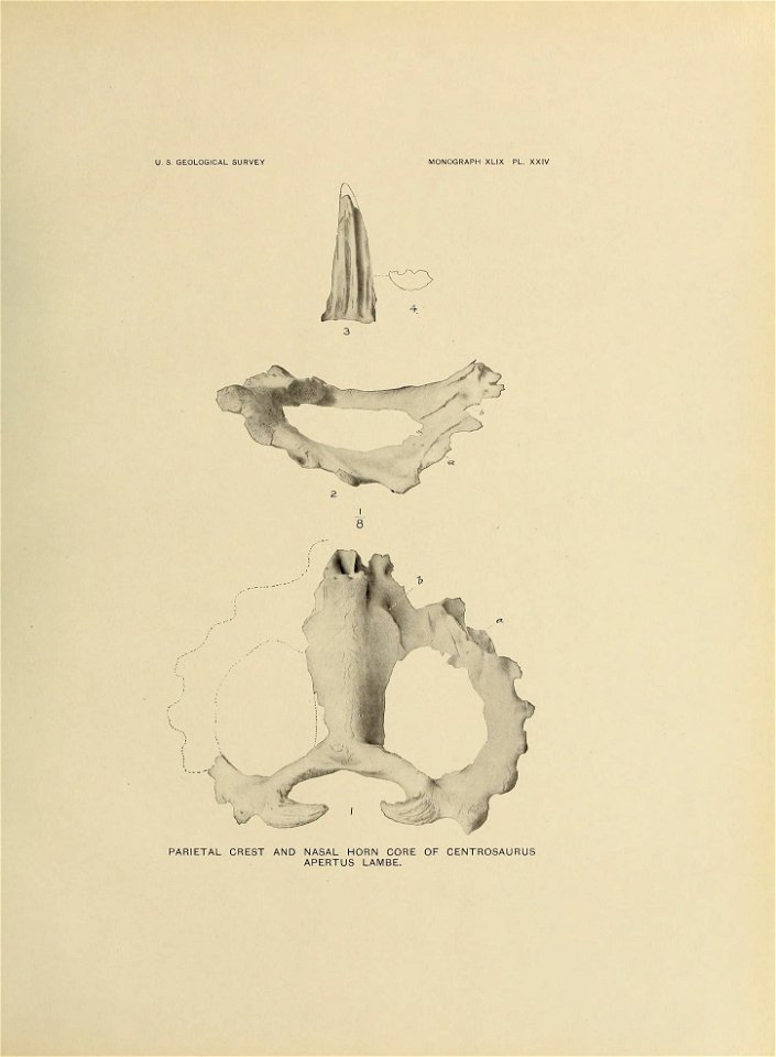 n342_w1150