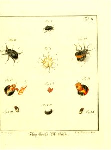 n568_w1150