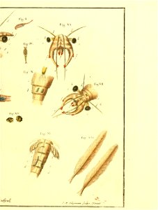 n368_w1150