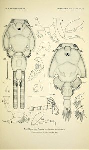 n436_w1150
