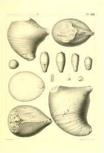 n412_w1150