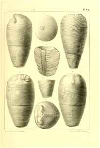 n352_w1150