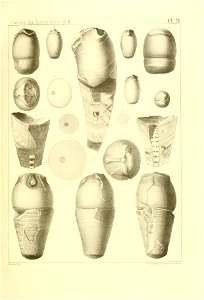n292_w1150