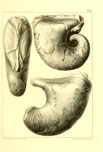 n232_w1150