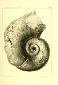 n172_w1150