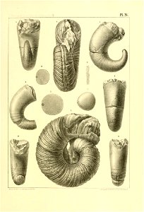 n112_w1150