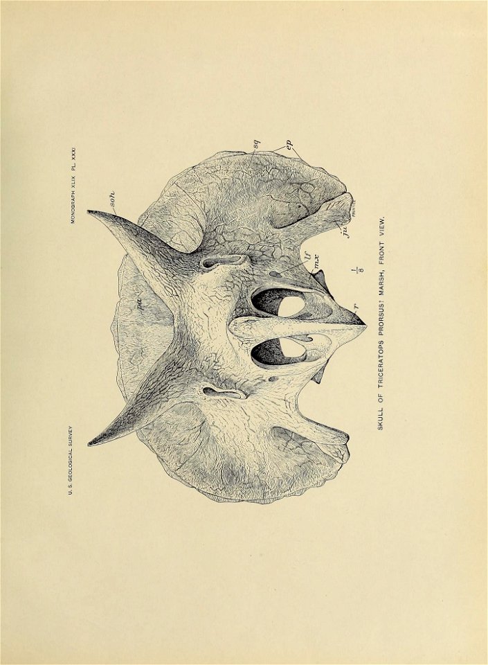 n384_w1150