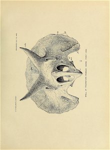 n384_w1150