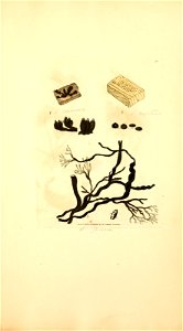 n1012_w1150