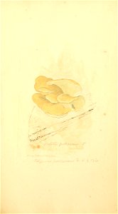 n568_w1150