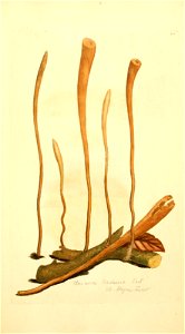 n538_w1150