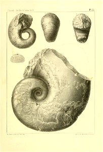 n148_w1150
