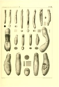 n384_w1150