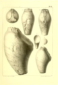 n264_w1150