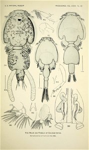 n438_w1150