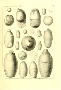 n296_w1150