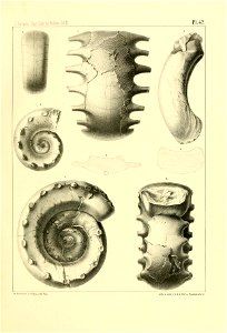 n176_w1150