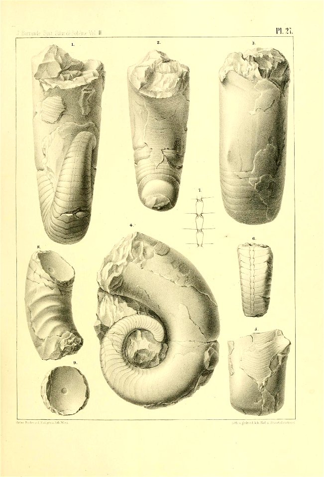 n116_w1150