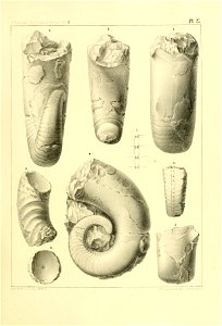 n116_w1150