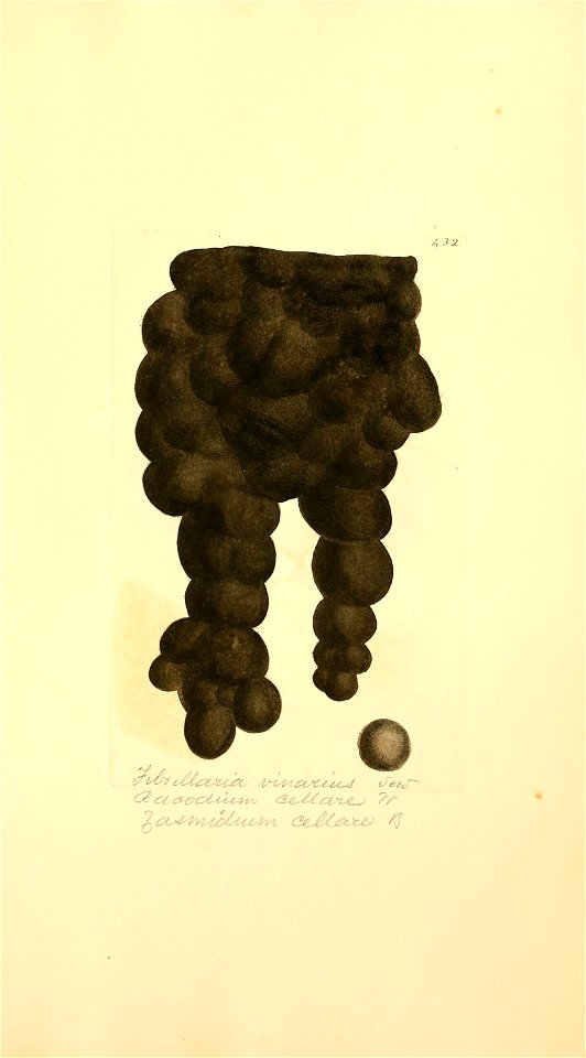 n1080_w1150