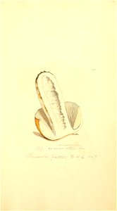 n1050_w1150