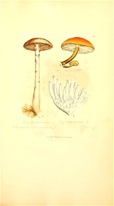 n990_w1150
