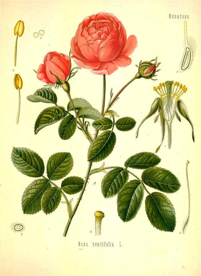 n592_w1150