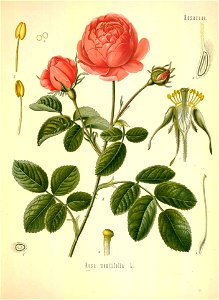 n592_w1150