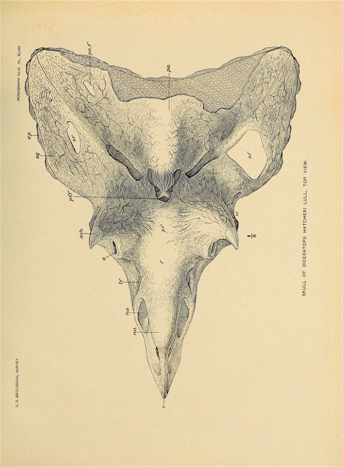 n476_w1150