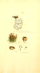 n1044_w1150
