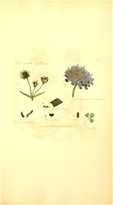 n1014_w1150