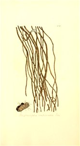 n1074_w1150