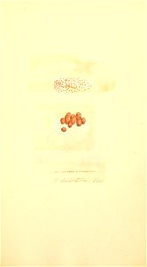 n924_w1150