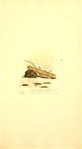 n894_w1150
