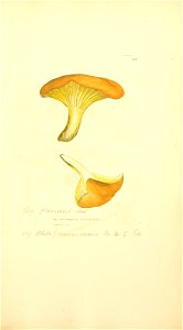n954_w1150