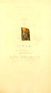 n864_w1150