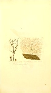 n508_w1150