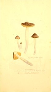 n358_w1150