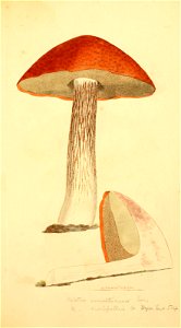 n278_w1150
