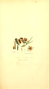 n158_w1150