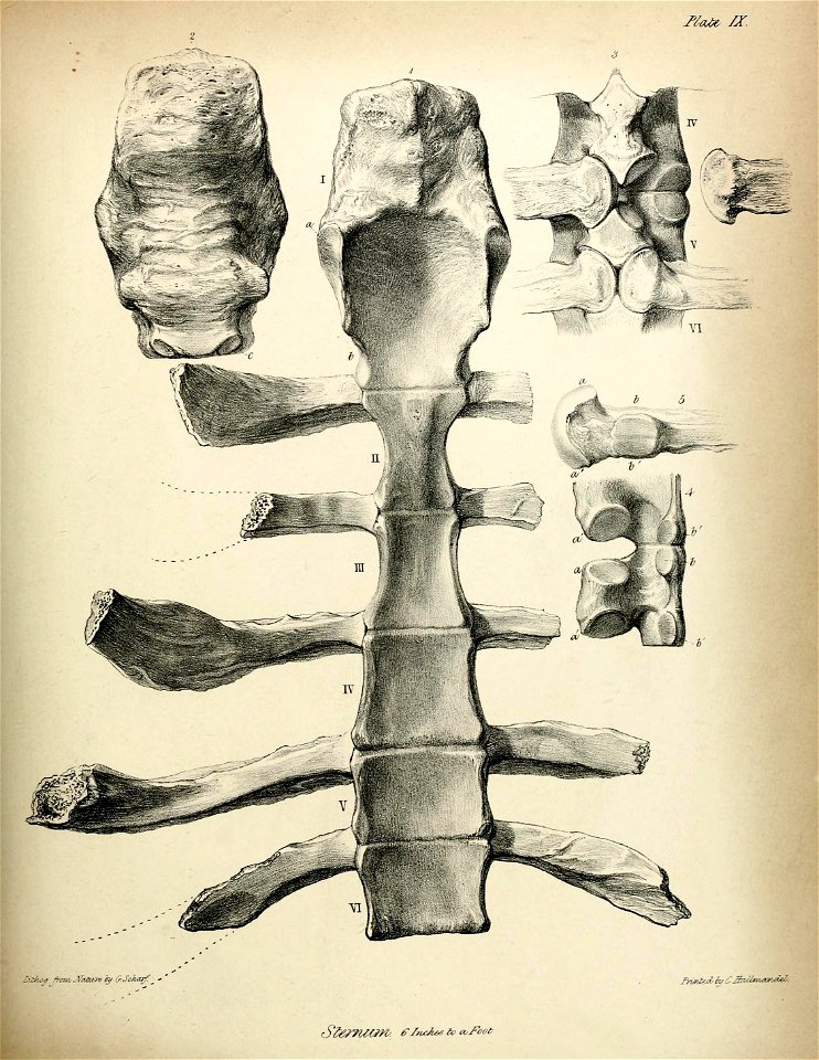 n214_w1150