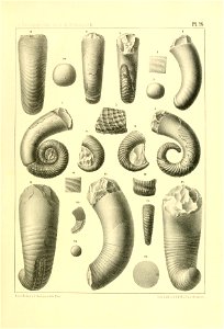 n120_w1150